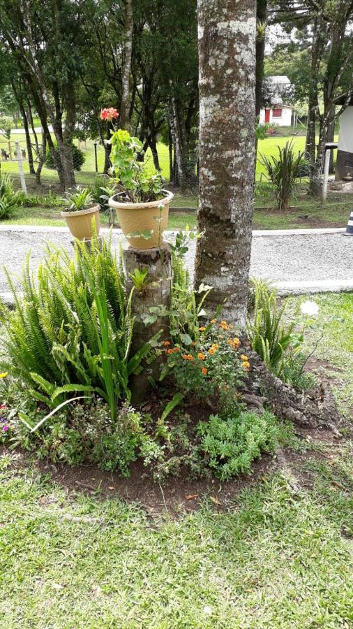 Recanto Do Saiqui Canela Esterno foto