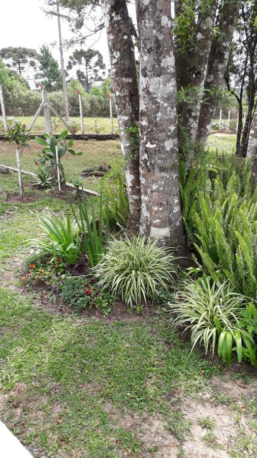 Recanto Do Saiqui Canela Esterno foto